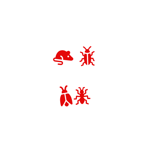 Pest Control Islamabad
