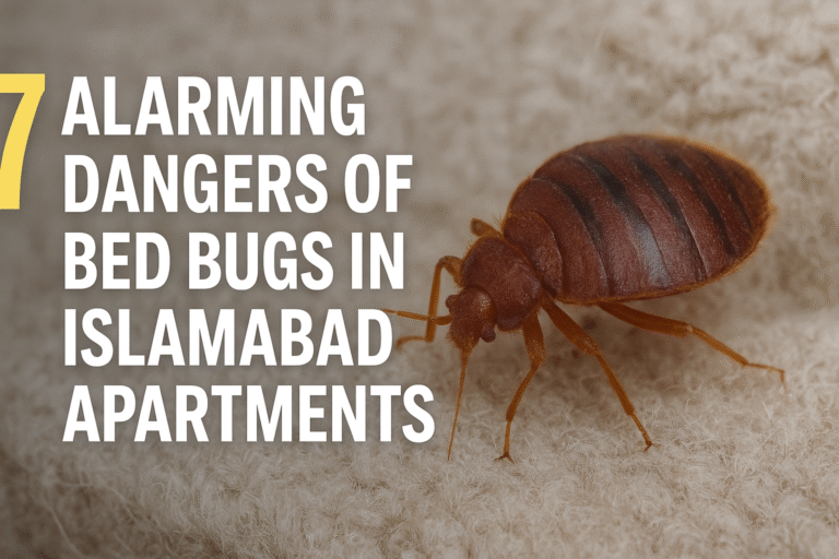7 Alarming Dangers of Bed Bugs in Islamabad Apartments